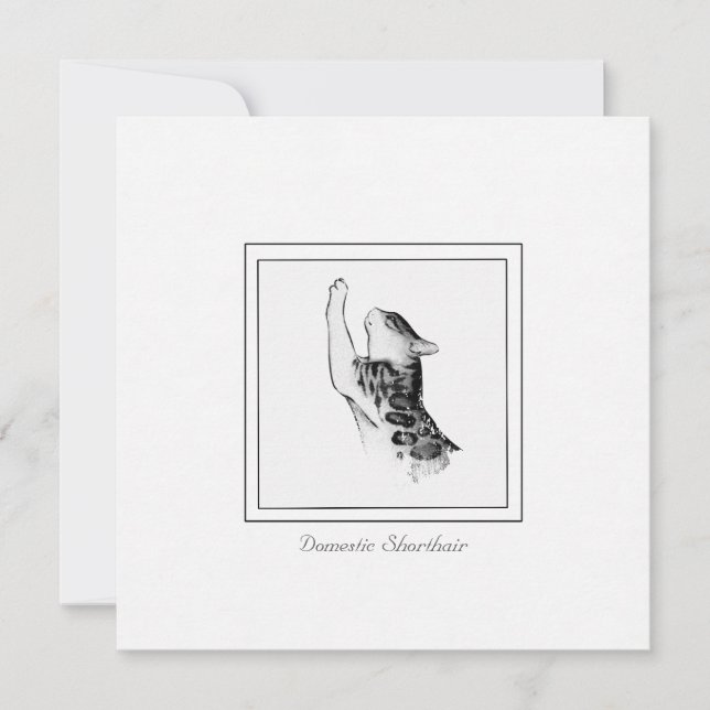 Modern Cat Chalk & Charcoal Black and White Sketch Card (Front)