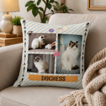 Modern Cat kitty Pet 3 Photo Collage handdrawn