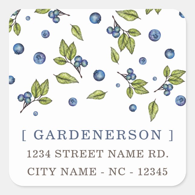 Modern Chic Blueberries Square Sticker (Front)