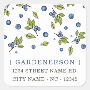Modern Chic Blueberries Square Sticker