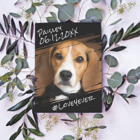 Modern Chic Elegant Simple Black Pet Dog Keepsake