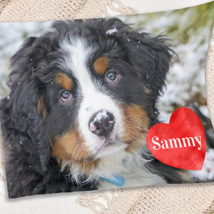 Modern Chic Pet Photo Personalised Dog Lover  Fleece Blanket