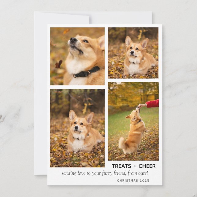 Modern Christmas Dog Photo Collage Pet Holiday Card (Front)