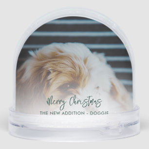 Modern Christmas Family and Pet Dog Photos Snowglobe
