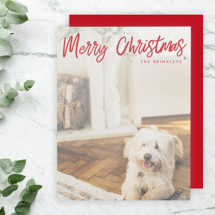 Modern Christmas   Red Handwritten Dog Photo Holiday Card