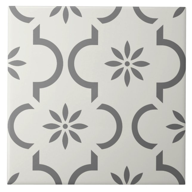 Modern classic Swedish Mediterranean light grey    Tile (Front)