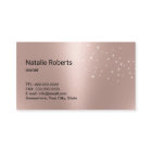 Modern Cleaning Service Silver Spray Rose Gold