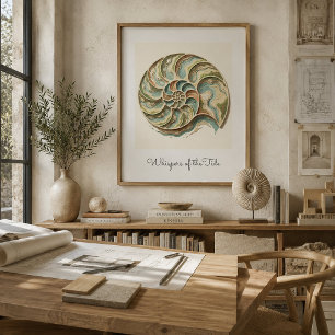 Modern Coastal Nautilus Shell Wall Art Poster
