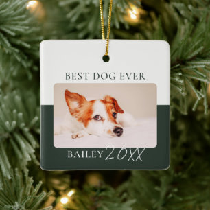 Modern Colour Block Custom Best Dog Ever Photo Ceramic Ornament