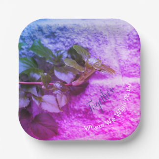 Modern Colourful and Square Paper Plate