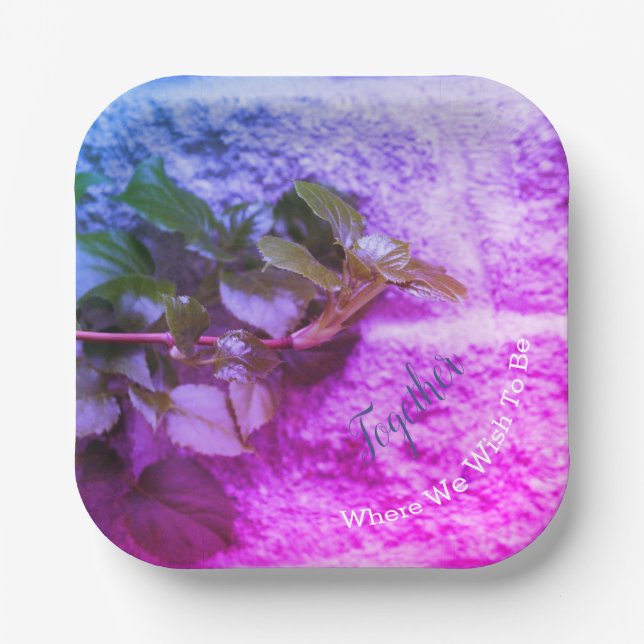 Modern Colourful and Square Paper Plate (Front)