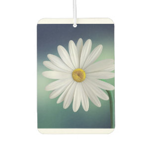 modern colourful elegante customisable design car air freshener