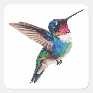 Modern Colourful Hummingbird Artistic Sticker