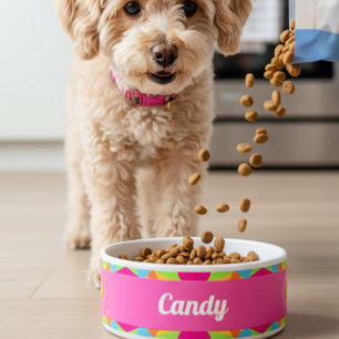 Modern Colourful Retro Geometric Ceramic Pet Bowl