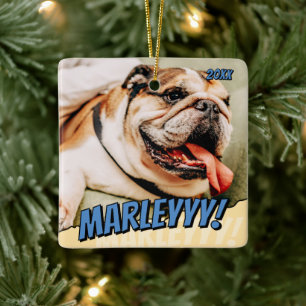 Modern Comic Simple Cool Custom Pet Photo Ceramic Ornament