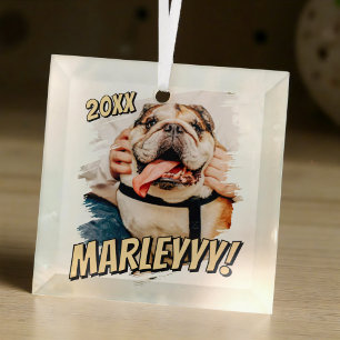 Modern Comic Simple Grunge Custom Pet Photo Glass Tree Decoration