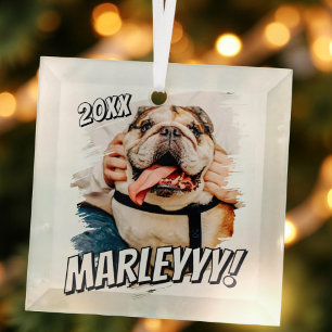 Modern Comic Simple Grunge Custom Pet Photo Glass Tree Decoration