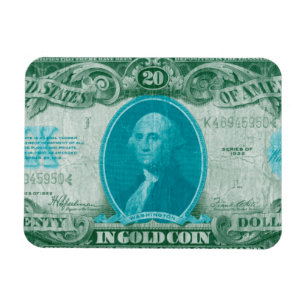 Modern Currency V Magnet