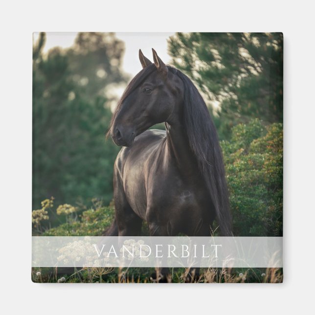 Modern Custom Equestrian Horse Name Photo Magnet (Front)