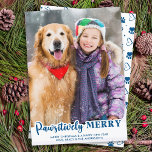 Modern Custom Pet Dog Cat Photo Pawsitively Merry  Holiday Card<br><div class="desc">Introducing our new line of holiday cards, perfect for families with furry friends! Our "Pawsitively Merry" collection features a variety of fun and festive designs that showcase your beloved pets in a cute and playful way. Whether you have a dog or a cat, you can choose from a selection of...</div>