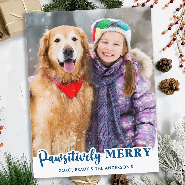 Modern Custom Pet Dog Cat Photo Pawsitively Merry Holiday Postcard (Creator Uploaded)