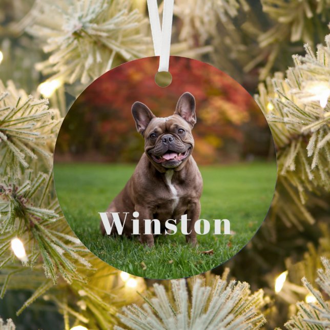 Modern Custom Pet Name Photo Holiday Metal Tree Decoration (Insitu)