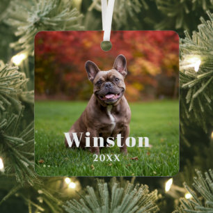 Modern Custom Pet Name Year Photo Holiday Metal Tree Decoration