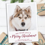 Modern Custom Pet Photo Dog Lover Merry Christmas  Postcard<br><div class="desc">We Woof You A Merry Christmas! Send cute and fun holiday greetings with this super cute personalised custom pet photo holiday card. Merry Christmas wishes from the dog with cute paw prints in a fun modern photo design. Add your dog's photo or family photo with the dog, and personalise with...</div>