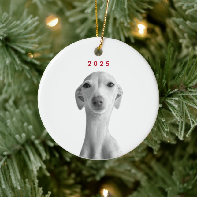 Modern Custom Pet Portrait  Ceramic Tree Decoration (Tree)