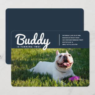 Modern Custom Pet Puppy Dog Photo Birthday Invitation
