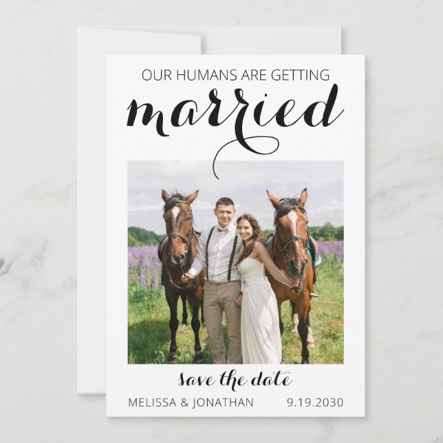 Modern Custom Photo Horse Pet Equestrian Wedding Save The Date (Front)