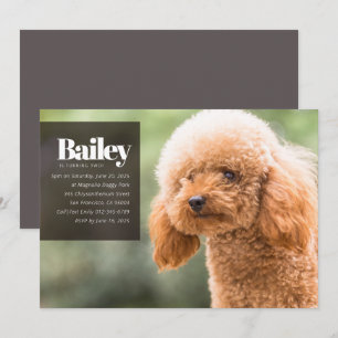 Modern Custom Puppy Dog Photo Birthday Invitation