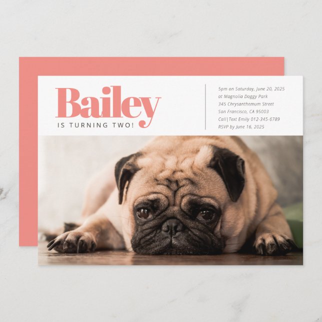 Modern Custom Puppy Dog Photo Birthday Invitation (Front/Back)