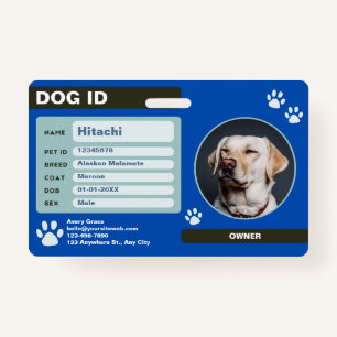 Modern Customisable Dog ID Tag with Photo  ID Badge