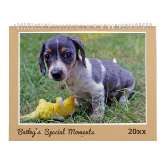 Modern Cute Dachshund Custom Pet Photos Calendar