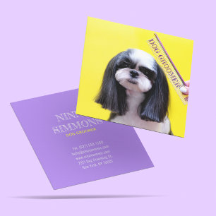 Modern Cute Dog Grooming Animal Puppy Care Square Business Card