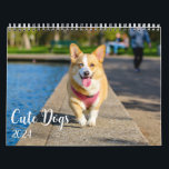 Modern Cute Dog Photos 2024 Calendar<br><div class="desc">Personalise this 2024 calendar with your favourite pet photos or leave the cute pics to brighten your day in the new year. Perfect gift for animal lovers in your life. Easy to customise all photos and text. Get yours today!</div>
