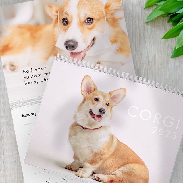 Modern Cute Funny Corgi Dogs Photos Calendar (Creator Uploaded)