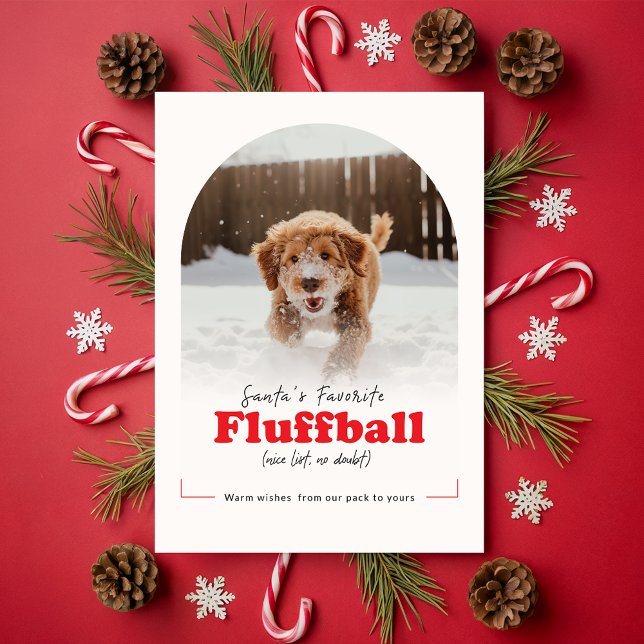 Modern Cute Funny Dog Pet Arch Photo Christmas Holiday Card (Creator Uploaded)