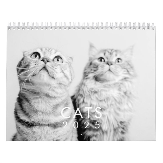 Modern Cute Funny Pet Kitten Cat Photos Calendar (Cover)