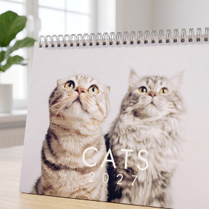 Modern Cute Funny Pet Kitten Cat Photos Calendar