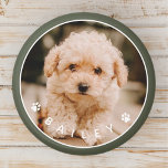 Modern Cute Paws Family Pet Photo Magnet<br><div class="desc">This simple and classic design is composed of sans serif typography and add a custom photo of your pet.</div>