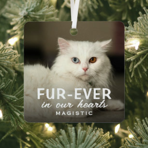 Modern Cute Photo Cat Memorial Keepsake Metal Tree Decoration