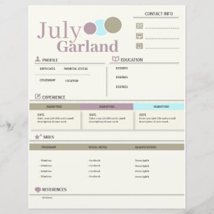 Modern CV - Resume Fully Customisable
