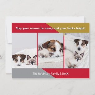 Modern Dog Cat Photo Pet Humor Christmas Holiday Card