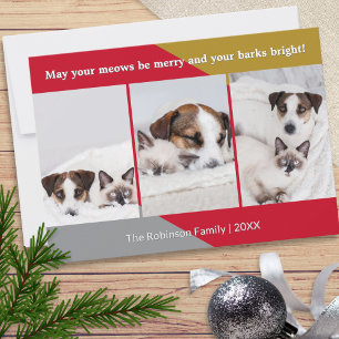Modern Dog Cat Photo Pet Humor Christmas Holiday Card