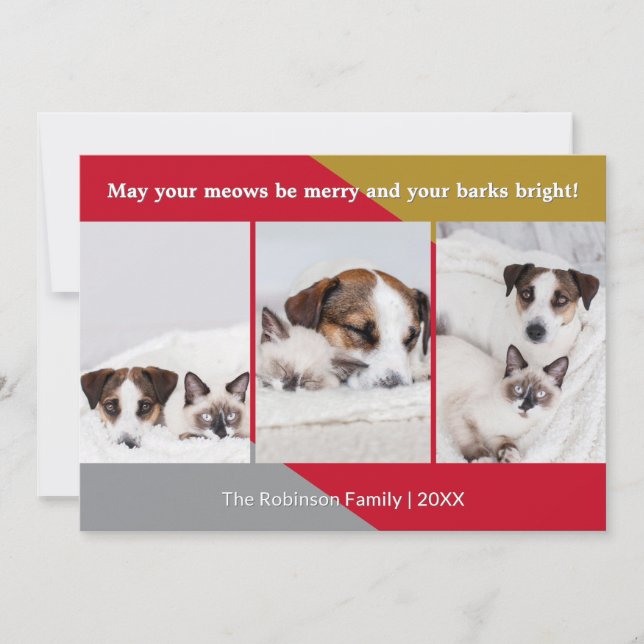 Modern Dog Cat Photo Pet Humour Christmas Holiday Card (Front)
