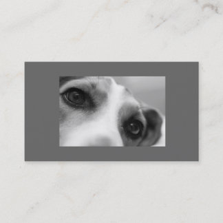 Modern Dog Eyes and Paw Business Card