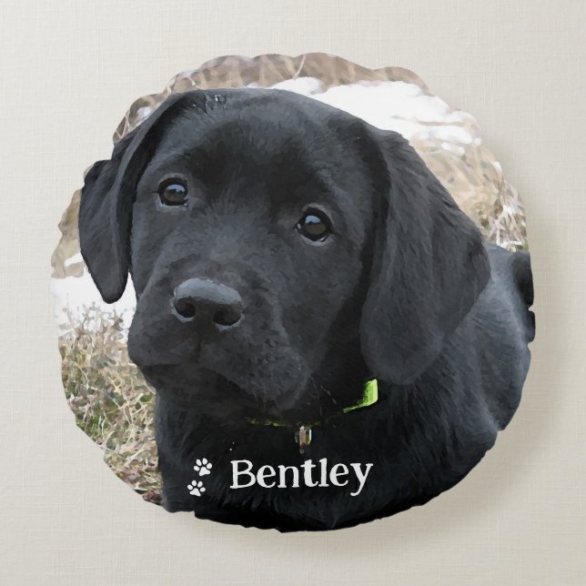 Modern Dog Lover Personalised 2 Pet Photo Round Cushion (Front)