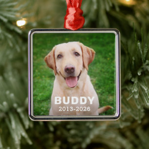Modern Dog Memorial Photo Name and Dates Metal Tree Decoration